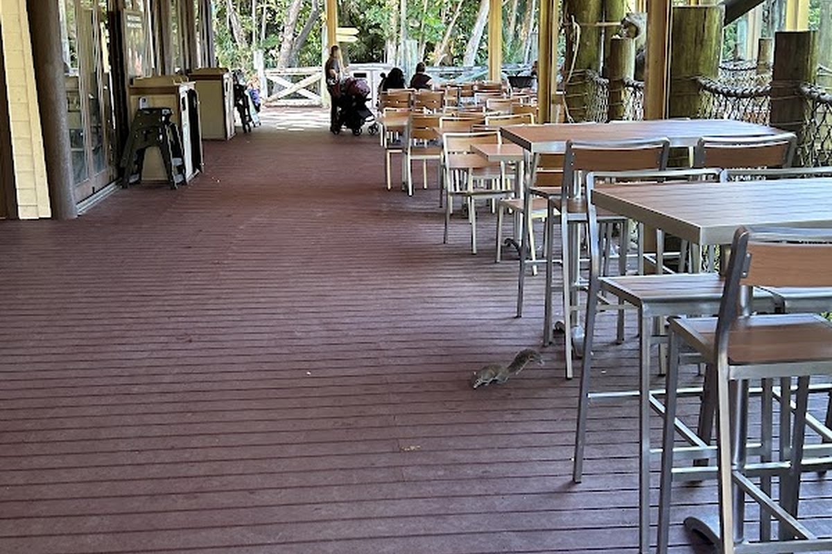 Tropics Café — supplied business image