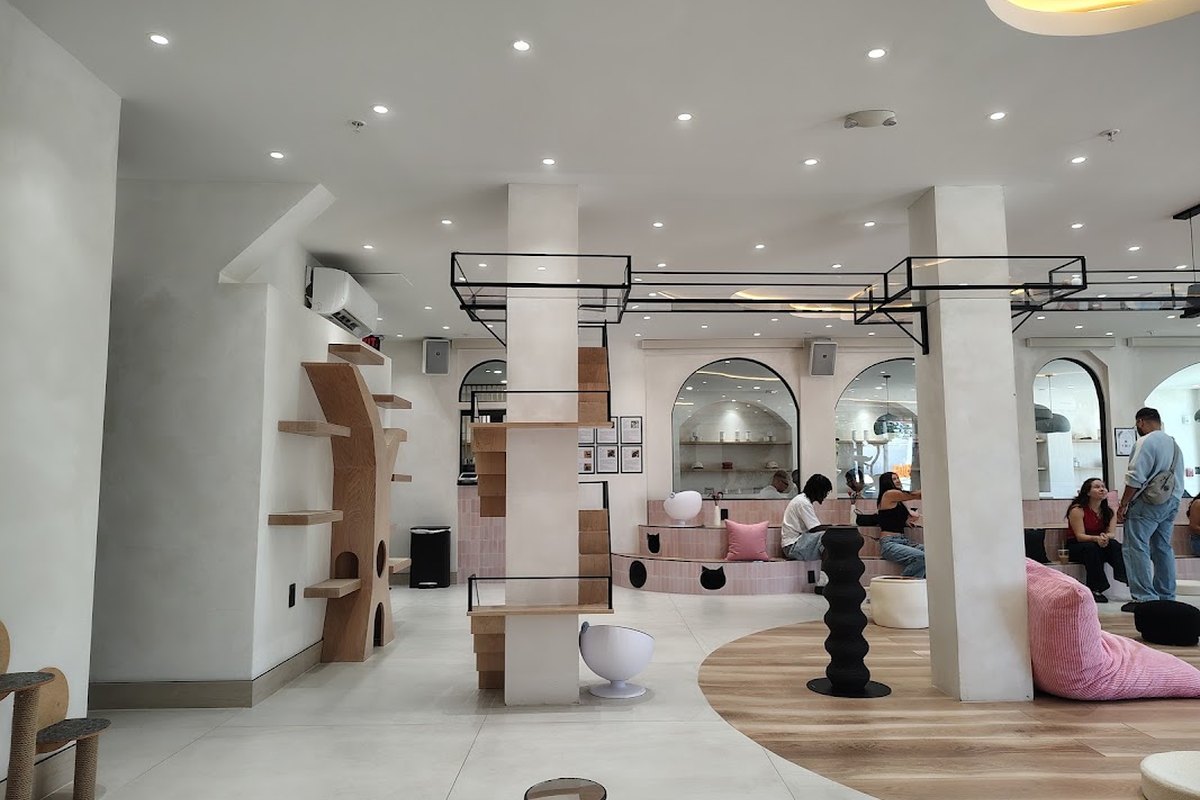 Nine Lives Café — supplied business image