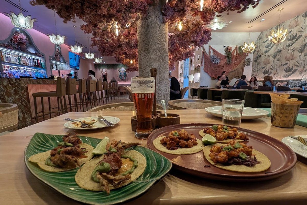 Tacos del Cartel - West Palm Beach — supplied business image