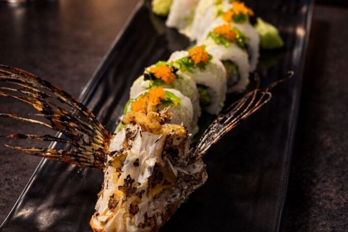 The Catch Seafood & Sushi — supplied business image